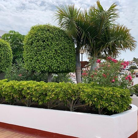 Ocean Breeze And Seaview Resort 아데제 외부 사진