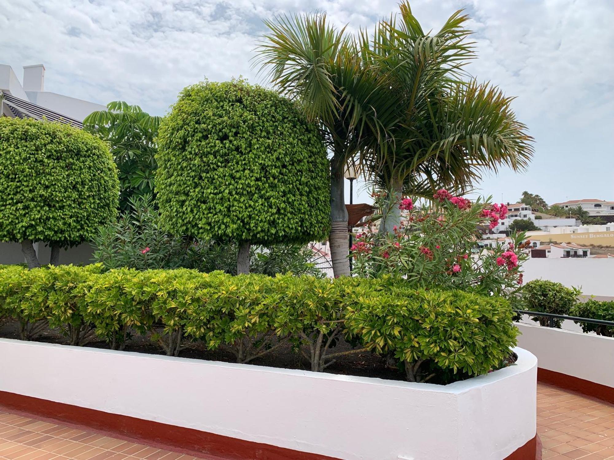 Ocean Breeze And Seaview Resort 아데제 외부 사진